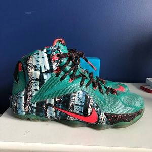 Lebron 12 “Akron birch”